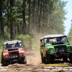 Sewa Offroad Bandung Cikole Lembang: Petualangan Menembus Hutan Pinus Bareng Zona Adventure